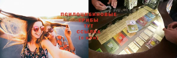 твердый Балахна